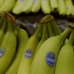 Chiquita CEO Carlos Lopez Flores Muz Fiyatlarinda Artis Bekliyor