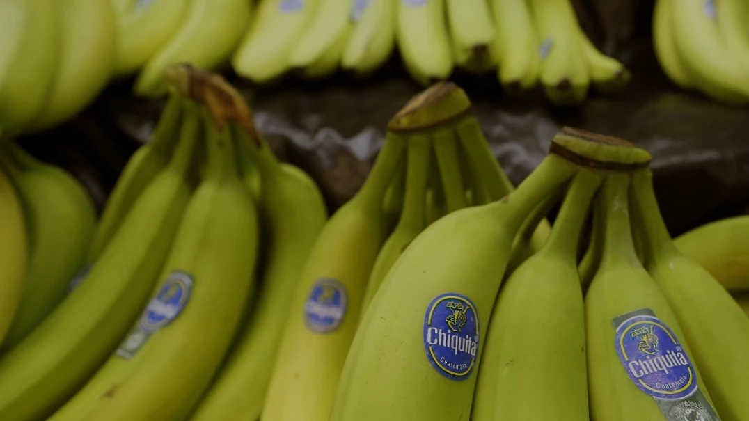 Chiquita CEO Carlos Lopez Flores Muz Fiyatlarinda Artis Bekliyor